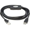 Tripp Lite USB to RJ45 Cisco Serial Rollover Cable, USB Type-A to RJ45 M/M, 6 ft – Adaptador serie – USB – gris
